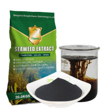 Khumic seaweed extract 100% ascophyllum nodosum seaweed fretilizer